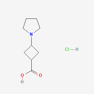 3-(Pyrrolidin-1-yl)cyclobutane-1-carboxylic acid hydrochloride chemical structure (CAS 2470440-42-5)