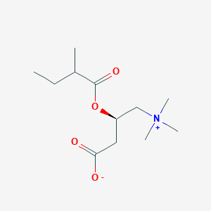 (3R)-3-((2-Methylbutanoyl)oxy)-4-(trimethylammonio)butanoate chemical structure (CAS 256928-75-3)