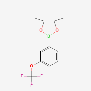 4,4,5,5-Tetramethyl-2-[3-(trifluoromethoxy)phenyl]-1,3,2-dioxaborolane chemical structure (CAS 262376-31-8)