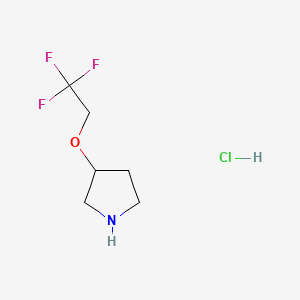 3-(2,2,2-Trifluoroethoxy)pyrrolidine hydrochloride chemical structure (CAS 2703752-17-2)