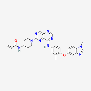 N-(1-(8-((3-methyl-4-((1-methyl-1H-benzo[d]imidazol-5-yl)oxy)phenyl)amino)pyrimido[5,4-d]pyrimidin-2-yl)piperidin-4-yl)acrylamide chemical structure (CAS 2728667-27-2)