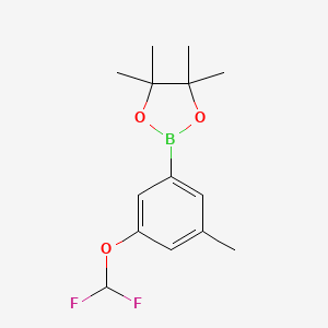2-(3-(Difluoromethoxy)-5-methylphenyl)-4,4,5,5-tetramethyl-1,3,2-dioxaborolane chemical structure (CAS 2765318-60-1)