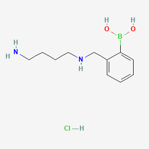 (2-(((4-Aminobutyl)amino)methyl)phenyl)boronic acid xhydrochloride chemical structure (CAS 2769711-68-2)