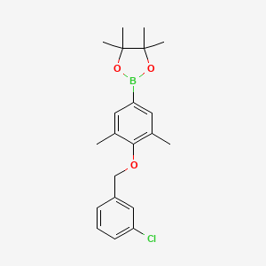 2-(4-((3-Chlorobenzyl)oxy)-3,5-dimethylphenyl)-4,4,5,5-tetramethyl-1,3,2-dioxaborolane chemical structure (CAS 2828440-10-2)