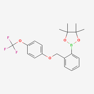4,4,5,5-Tetramethyl-2-(2-((4-(trifluoromethoxy)phenoxy)methyl)phenyl)-1,3,2-dioxaborolane chemical structure (CAS 2828440-11-3)