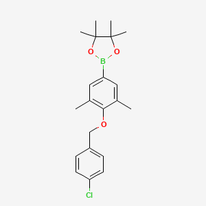 2-(4-((4-Chlorobenzyl)oxy)-3,5-dimethylphenyl)-4,4,5,5-tetramethyl-1,3,2-dioxaborolane chemical structure (CAS 2828440-16-8)