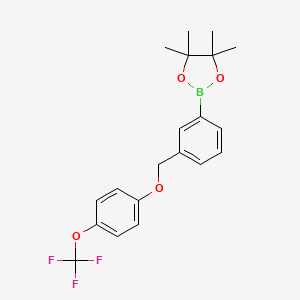 4,4,5,5-Tetramethyl-2-(3-((4-(trifluoromethoxy)phenoxy)methyl)phenyl)-1,3,2-dioxaborolane chemical structure (CAS 2828440-20-4)
