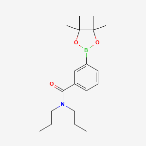 N,N-Dipropyl-3-(4,4,5,5-tetramethyl-1,3,2-dioxaborolan-2-yl)benzamide chemical structure (CAS 2828443-94-1)