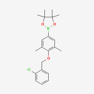 2-(4-((2-Chlorobenzyl)oxy)-3,5-dimethylphenyl)-4,4,5,5-tetramethyl-1,3,2-dioxaborolane chemical structure (CAS 2828443-98-5)