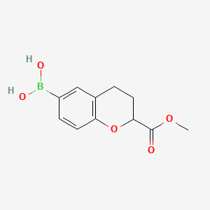 (2-(Methoxycarbonyl)chroman-6-yl)boronic acid chemical structure (CAS 2828444-05-7)