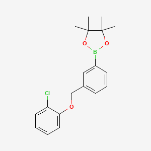 2-(3-((2-Chlorophenoxy)methyl)phenyl)-4,4,5,5-tetramethyl-1,3,2-dioxaborolane chemical structure (CAS 2828446-01-9)