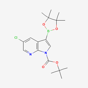 tert-Butyl 5-chloro-3-(4,4,5,5-tetramethyl-1,3,2-dioxaborolan-2-yl)-1H-pyrrolo[2,3-b]pyridine-1-carboxylate chemical structure (CAS 2882875-88-7)