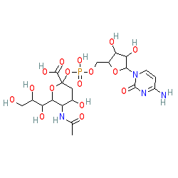 (2R,4S,5R,6R)-5-Acetamido-2-(((((2R,3S,4R,5R)-5-(4-amino-2-oxopyrimidin-1(2H)-yl)-3,4-dihydroxytetrahydrofuran-2-yl)methoxy)(hydroxy)phosphoryl)oxy)-4-hydroxy-6-((1R,2R)-1,2,3-trihydroxypropyl)tetrahydro-2H-pyran-2-carboxylic acid chemical structure (CAS 3063-71-6)