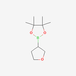4,4,5,5-Tetramethyl-2-(tetrahydrofuran-3-yl)-1,3,2-dioxaborolane chemical structure (CAS 331958-90-8)