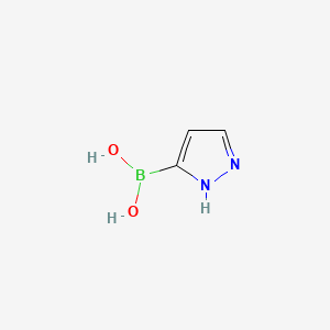 (1H-Pyrazol-3-yl)boronic acid chemical structure (CAS 376584-63-3)