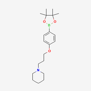 1-(3-(4-(4,4,5,5-Tetramethyl-1,3,2-dioxaborolan-2-yl)phenoxy)propyl)piperidine chemical structure (CAS 401895-68-9)
