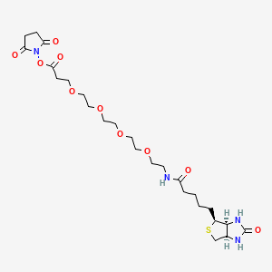 NHS-PEO4-Biotin chemical structure (CAS 459426-22-3)