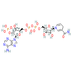 NADPH-sodium salt chemical structure (CAS 53-57-6)