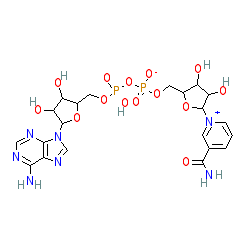 1-((2R,3R,4S,5R)-5-((((((((2R,3S,4R,5R)-5-(6-Amino-9H-purin-9-yl)-3,4-dihydroxytetrahydrofuran-2-yl)methoxy)(hydroxy)phosphoryl)oxy)oxidophosphoryl)oxy)methyl)-3,4-dihydroxytetrahydrofuran-2-yl)-3-carbamoylpyridin-1-ium chemical structure (CAS 53-84-9)