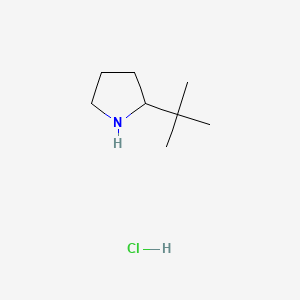 2-(tert-Butyl)pyrrolidine hydrochloride chemical structure (CAS 558478-78-7)