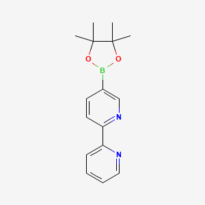 5-(4,4,5,5-Tetramethyl-1,3,2-dioxaborolan-2-yl)-2,2'-bipyridine chemical structure (CAS 562098-24-2)