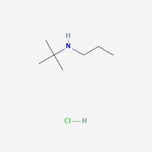 tert-Butyl(propyl)amine hydrochloride chemical structure (CAS 57885-83-3)