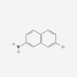 7-Bromonaphthalen-2-amine chemical structure (CAS 590417-30-4)