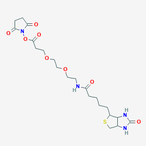 2,5-Dioxopyrrolidin-1-yl 3-(2-(2-(5-(2-oxohexahydro-1H-thieno[3,4-d]imidazol-4-yl)pentanamido)ethoxy)ethoxy)propanoate chemical structure (CAS 596820-83-6)