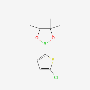 2-(5-Chlorothiophen-2-yl)-4,4,5,5-tetramethyl-1,3,2-dioxaborolane chemical structure (CAS 635305-24-7)