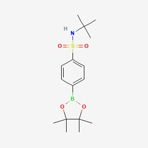 N-(tert-Butyl)-4-(4,4,5,5-tetramethyl-1,3,2-dioxaborolan-2-yl)benzenesulfonamide chemical structure (CAS 648905-63-9)