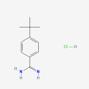 4-(tert-Butyl)benzimidamide hydrochloride chemical structure (CAS 68284-01-5)
