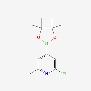 2-Chloro-6-methyl-4-(4,4,5,5-tetramethyl-1,3,2-dioxaborolan-2-yl)pyridine chemical structure (CAS 697739-22-3)