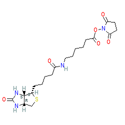 2,5-Dioxopyrrolidin-1-yl 6-(5-((3aS,4S,6aR)-2-oxohexahydro-1H-thieno[3,4-d]imidazol-4-yl)pentanamido)hexanoate chemical structure (CAS 72040-63-2)
