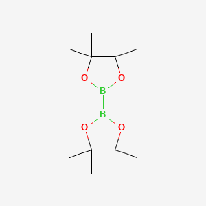 4,4,4',4',5,5,5',5'-Octamethyl-2,2'-bi(1,3,2-dioxaborolane) chemical structure (CAS 73183-34-3)