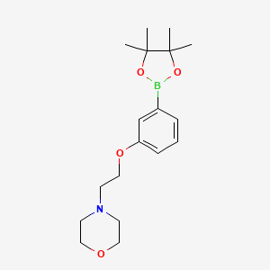 4-(2-(3-(4,4,5,5-Tetramethyl-1,3,2-dioxaborolan-2-yl)phenoxy)ethyl)morpholine chemical structure (CAS 756520-70-4)