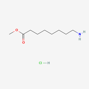 Methyl 8-aminooctanoate hydrochloride chemical structure (CAS 77420-98-5)