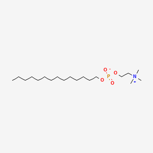 Tetradecyl (2-(trimethylammonio)ethyl) phosphate chemical structure (CAS 77733-28-9)