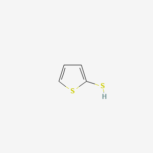 Thiophene-2-thiol chemical structure (CAS 7774-74-5)