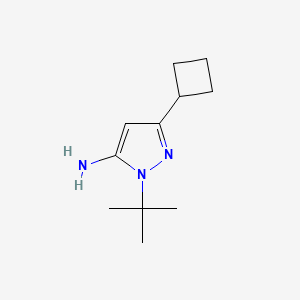 1-(tert-Butyl)-3-cyclobutyl-1H-pyrazol-5-amine chemical structure (CAS 817641-86-4)