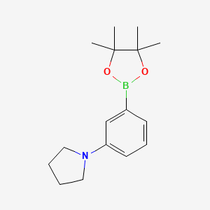 1-(3-(4,4,5,5-Tetramethyl-1,3,2-dioxaborolan-2-yl)phenyl)pyrrolidine chemical structure (CAS 857283-63-7)
