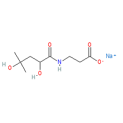 Sodium (R)-3-(2,4-dihydroxy-3,3-dimethylbutanamido)propanoate chemical structure (CAS 867-81-2)