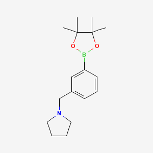 1-(3-(4,4,5,5-Tetramethyl-1,3,2-dioxaborolan-2-yl)benzyl)pyrrolidine chemical structure (CAS 884507-45-3)