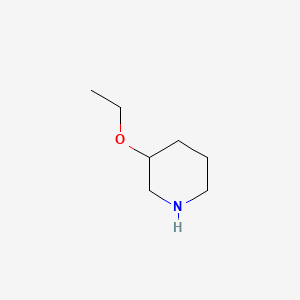 3-Ethoxypiperidine chemical structure (CAS 88536-17-8)