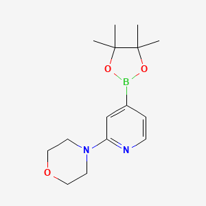 4-(4-(4,4,5,5-Tetramethyl-1,3,2-dioxaborolan-2-yl)pyridin-2-yl)morpholine chemical structure (CAS 888721-86-6)