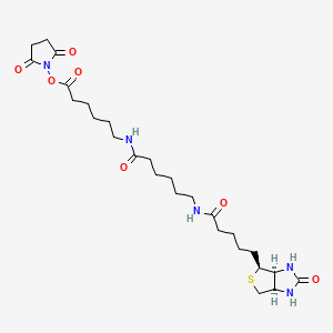 2,5-Dioxopyrrolidin-1-yl 6-(6-(5-((3aS,4S,6aR)-2-oxohexahydro-1H-thieno[3,4-d]imidazol-4-yl)pentanamido)hexanamido)hexanoate chemical structure (CAS 89889-52-1)