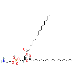 (2R)-3-(((2-Aminoethoxy)(hydroxy)phosphoryl)oxy)propane-1,2-diyl dipalmitate chemical structure (CAS 923-61-5)