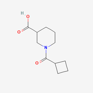 1-(Cyclobutanecarbonyl)piperidine-3-carboxylic acid chemical structure (CAS 926214-73-5)