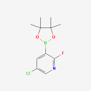 5-Chloro-2-fluoro-3-(4,4,5,5-tetramethyl-1,3,2-dioxaborolan-2-yl)pyridine chemical structure (CAS 937595-72-7)