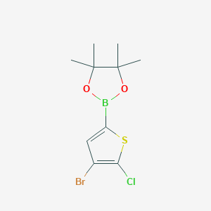 2-(4-Bromo-5-chlorothiophen-2-yl)-4,4,5,5-tetramethyl-1,3,2-dioxaborolane chemical structure (CAS 942070-02-2)