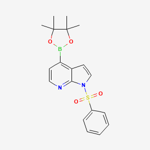 1-(Phenylsulfonyl)-4-(4,4,5,5-tetramethyl-1,3,2-dioxaborolan-2-yl)-1H-pyrrolo[2,3-b]pyridine chemical structure (CAS 942919-24-6)